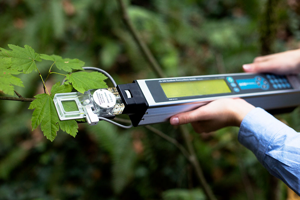 فروش فتوسنتزمتر مدلCI340 کمپانی CID