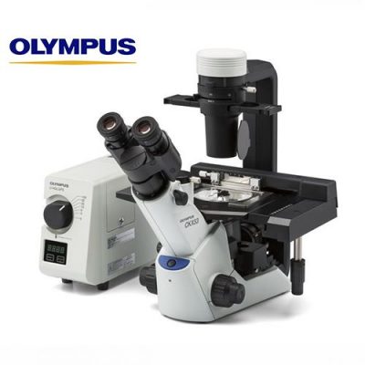 میکروسکوپ اینورت مدل ckx53 میکروسکوپ اینورت مدل ckx53